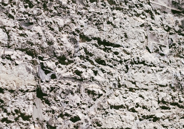 變與不變:凹凸不平的AI智能